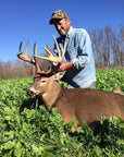 FALL FORAGE BLEND