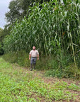 HEAVY DUTY FOOD PLOT SCREEN