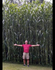 HEAVY DUTY FOOD PLOT SCREEN