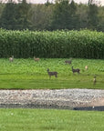 HEAVY DUTY FOOD PLOT SCREEN