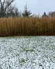 HEAVY DUTY FOOD PLOT SCREEN