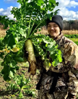 WHITETAIL FORAGE RADISH