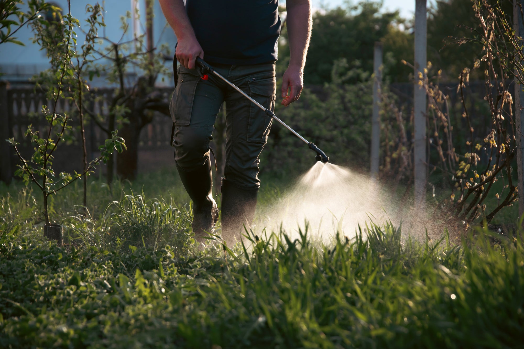 farmer spraying fertilizer