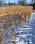 HEAVY DUTY FOOD PLOT SCREEN