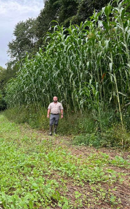 HEAVY DUTY FOOD PLOT SCREEN