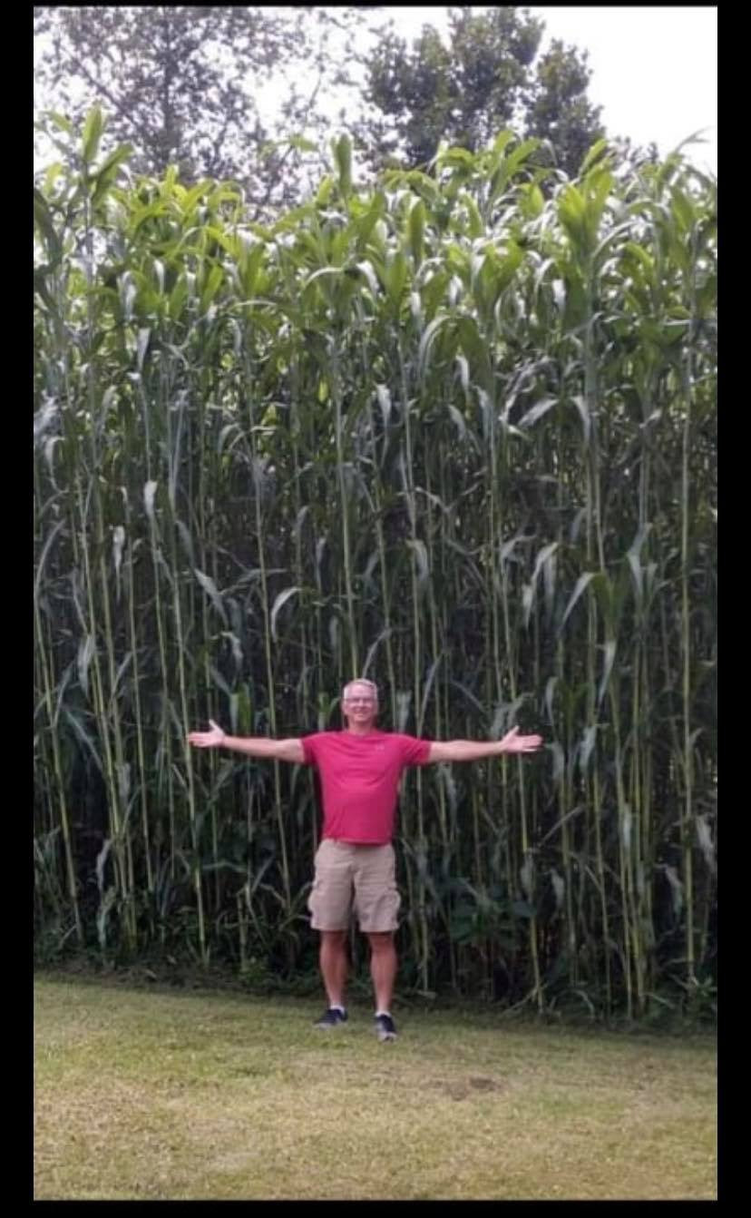 HEAVY DUTY FOOD PLOT SCREEN