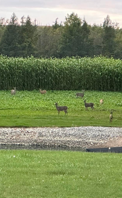 HEAVY DUTY FOOD PLOT SCREEN