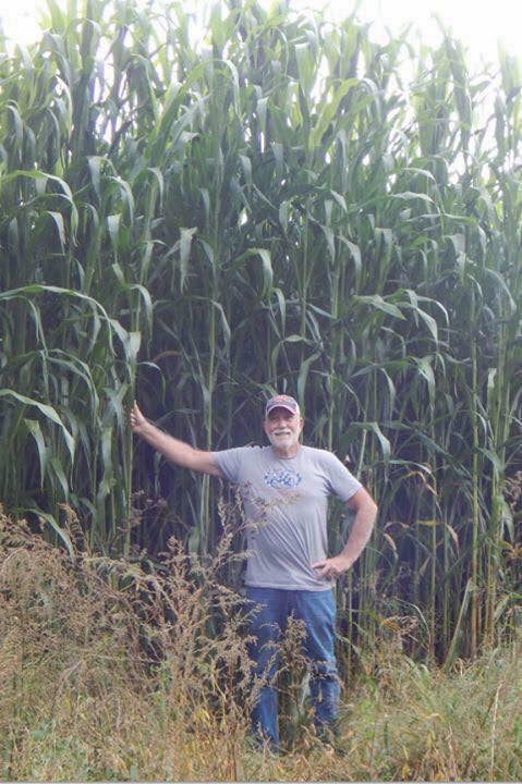 HEAVY DUTY FOOD PLOT SCREEN