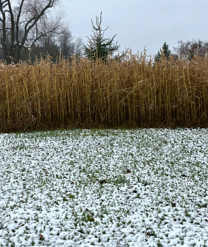 HEAVY DUTY FOOD PLOT SCREEN