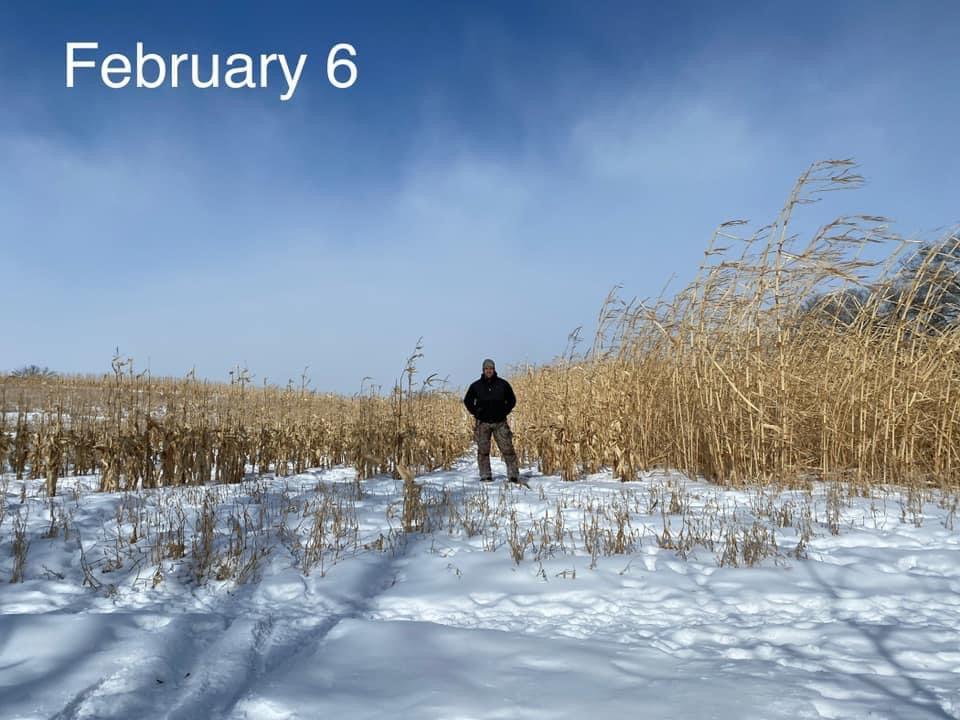 HEAVY DUTY FOOD PLOT SCREEN