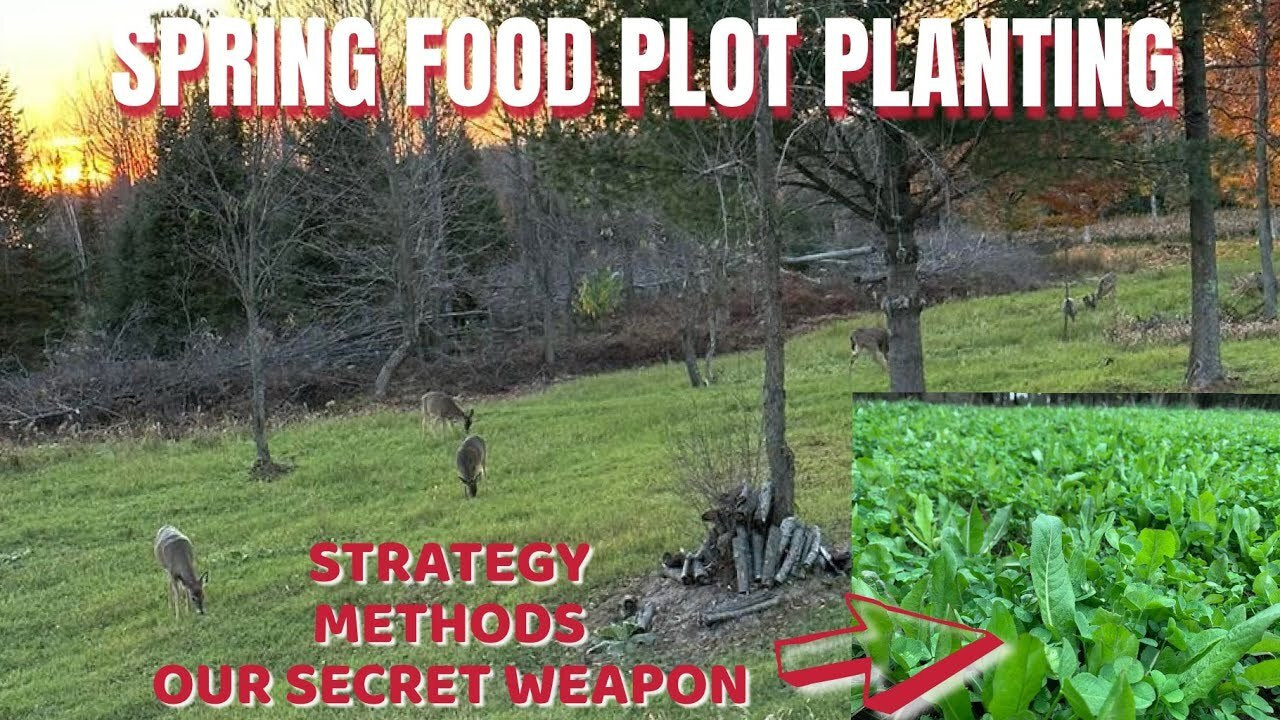 Load video: Spring Food Plot Planting