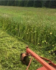 SOIL BUILDER BLEND